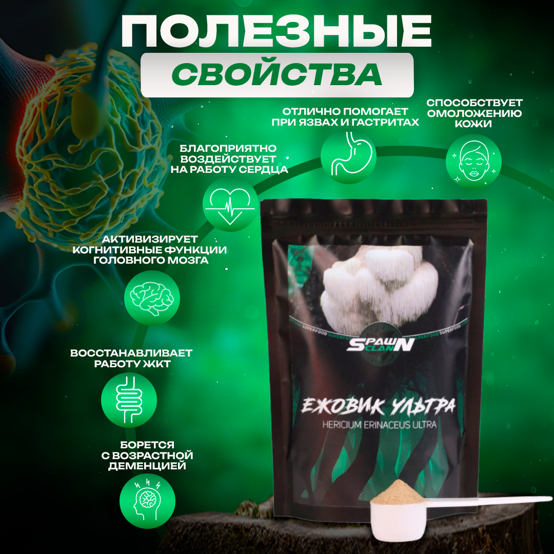 Купить Ежовик гребенчатый / Львиная грива - Микс  с доставкой на дом в г. Москва и по России. 